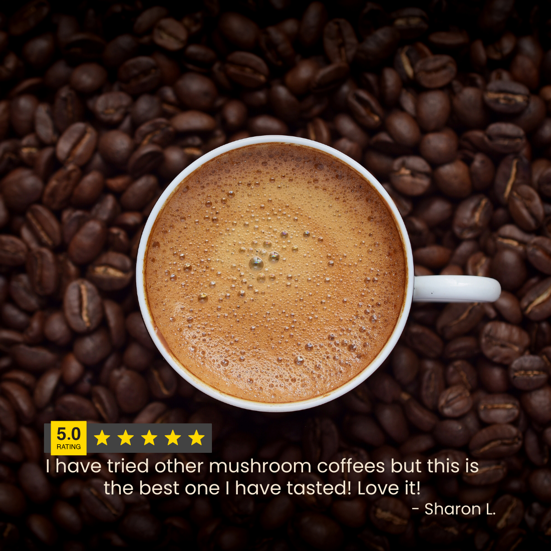 Super Vitality - Curcumin Mushroom Coffee