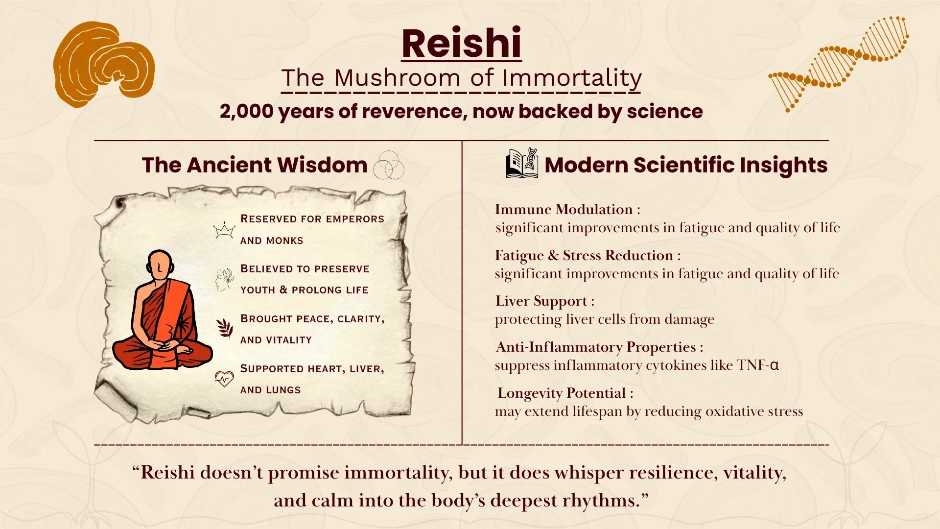 Longevity Mushroom: What Modern Science Says About Reishi’s Benefits