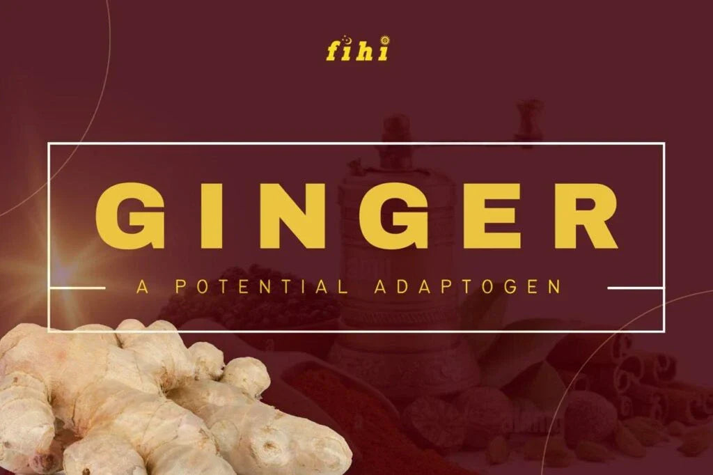 Ginger – A Powerful Adaptogen for Immune Health